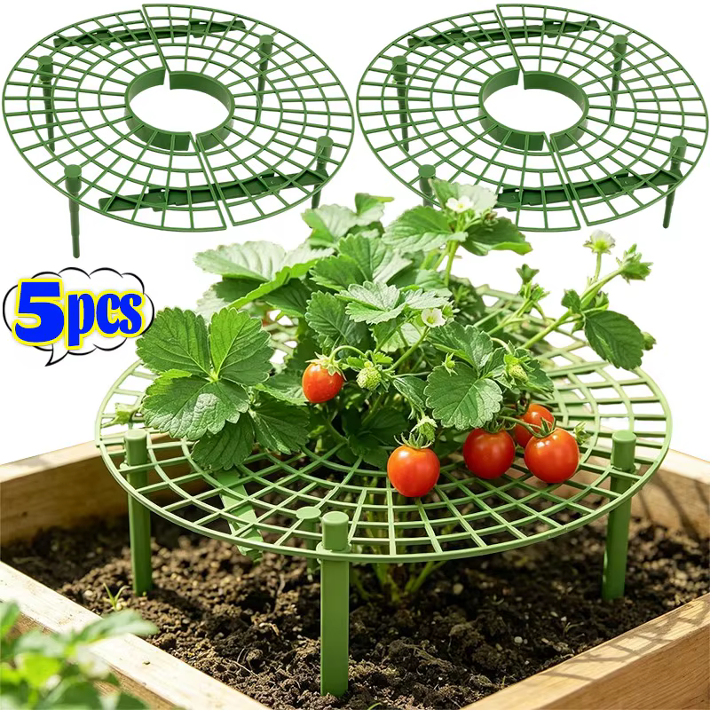 Support de plantes en maille anti-pourriture pour fraises