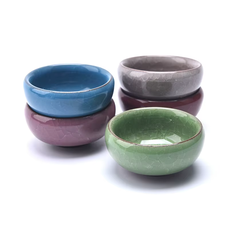 Mini jardinière succulente en céramique pour la décoration intérieure