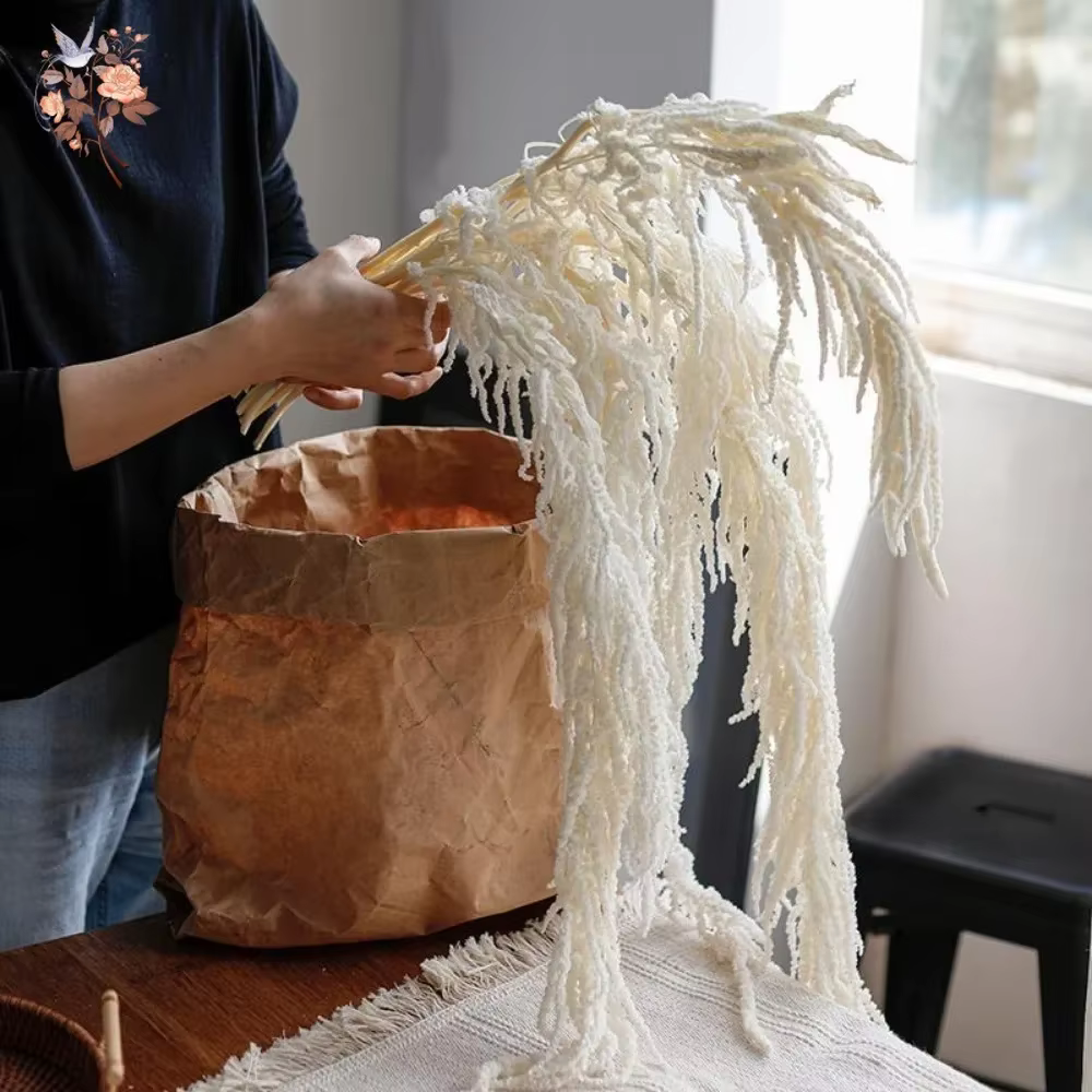 Amaranthus suspendu de fleurs séchées naturelles