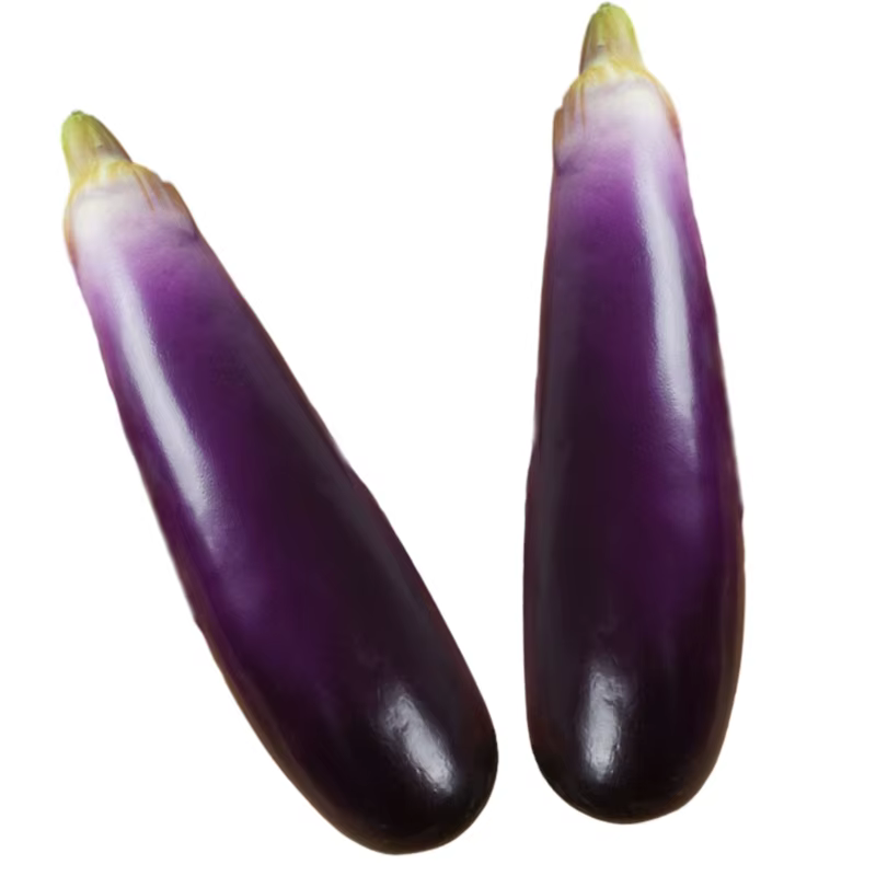 Simulation d'aubergines artificielles en mousse souple