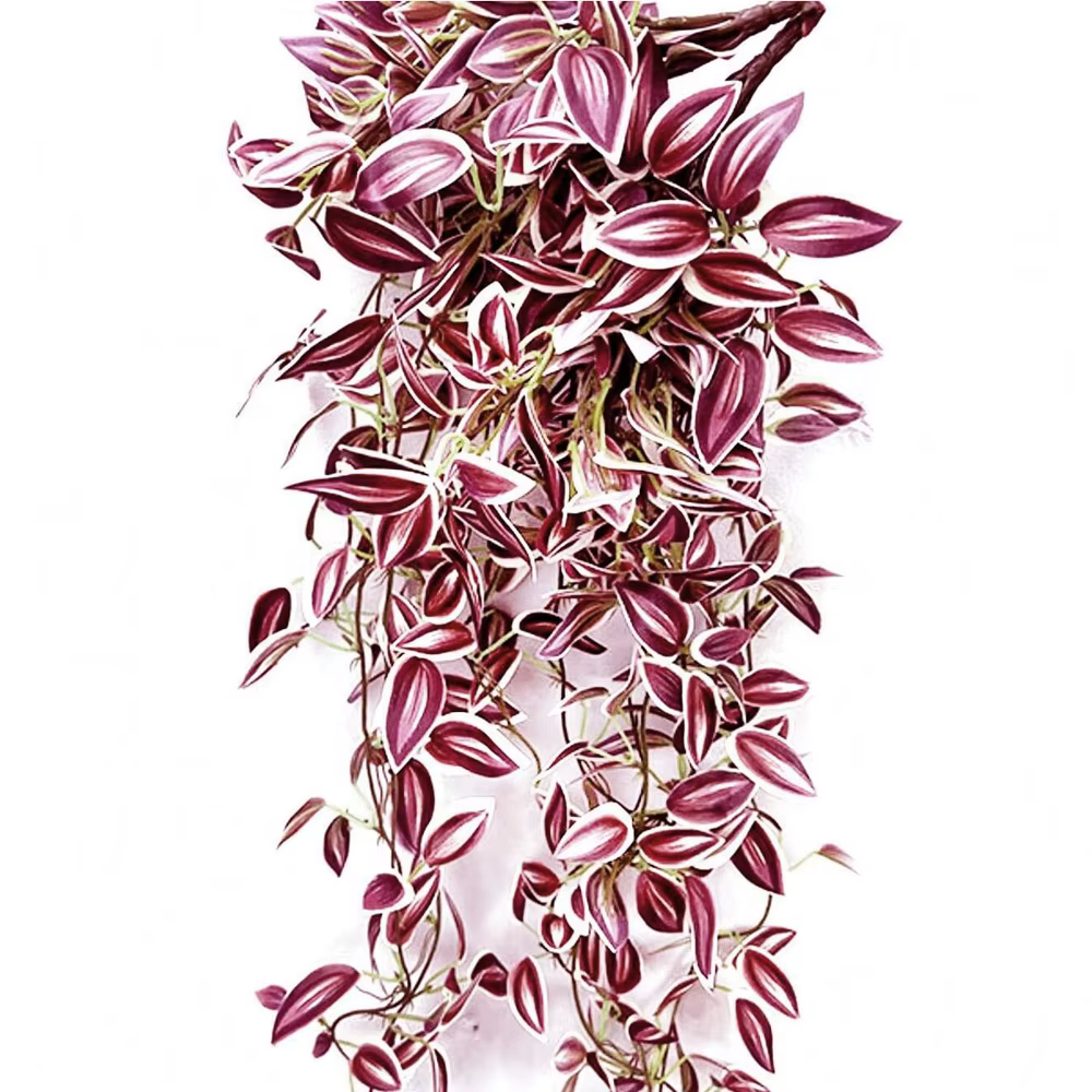 Vignes artificielles, feuilles de plantes suspendues artificielles