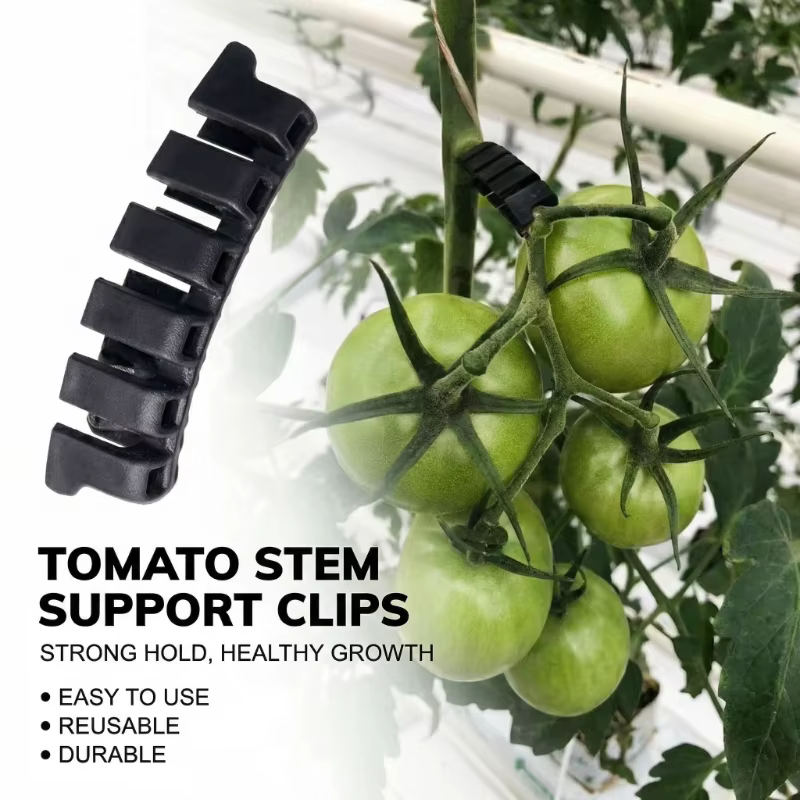 20 pinces de fixation pour tiges de tomates
