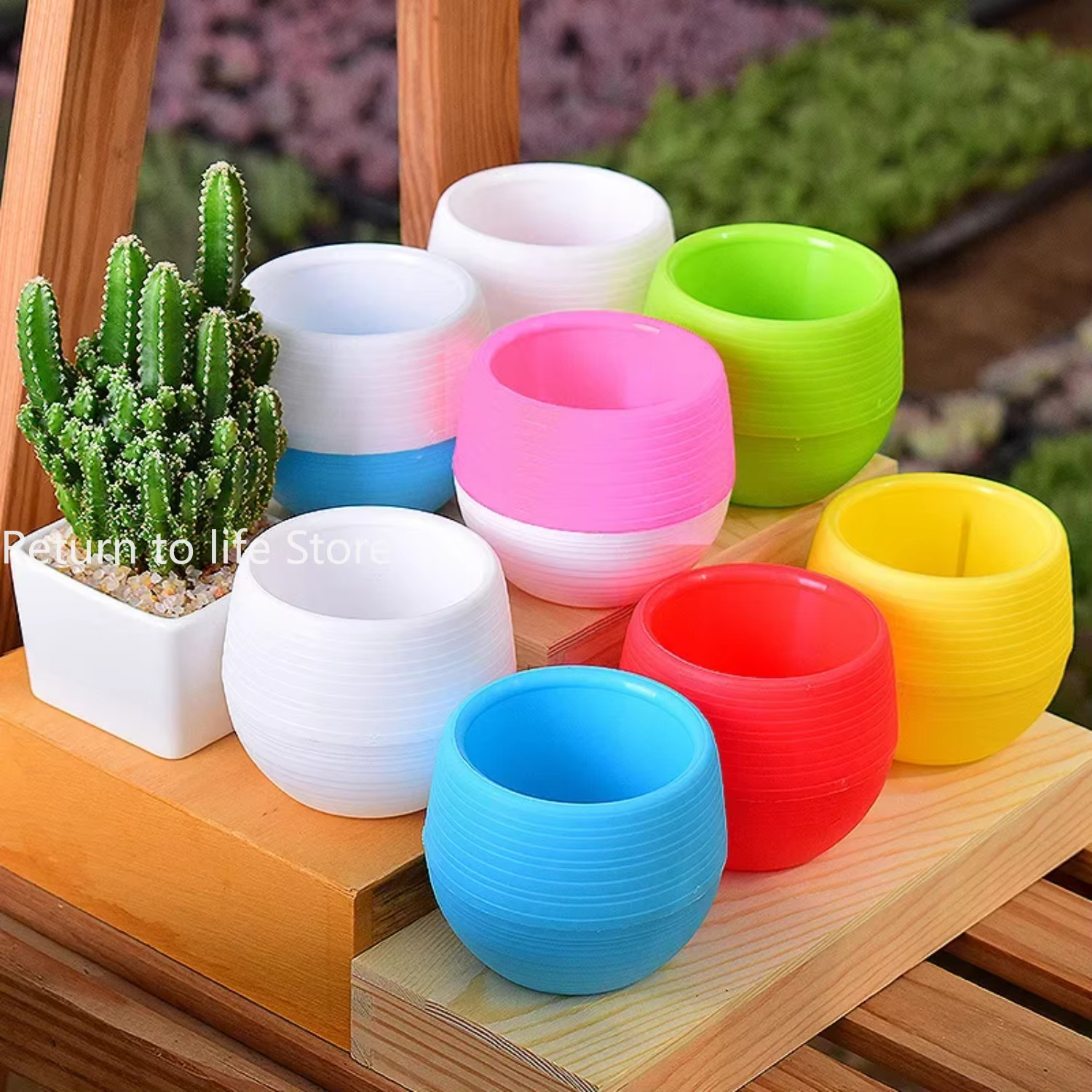 Mini petit Pot de jardinière succulente en résine PP
