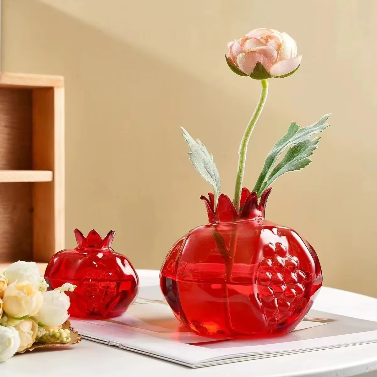 Vase à grenade, plante hydroponique
