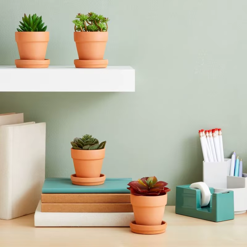Pot en argile avec mini jardinières succulentes