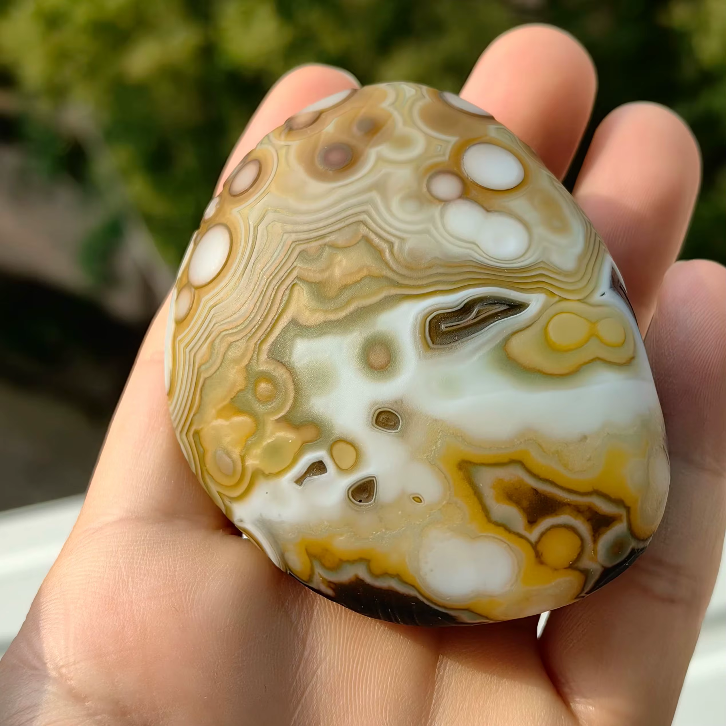  Pierres de palmier en agate naturelle pure, agate œil de chat, agate œil de fleur, pierres brutes, accessoires de décoration intérieure, bijoux et décoration DIY