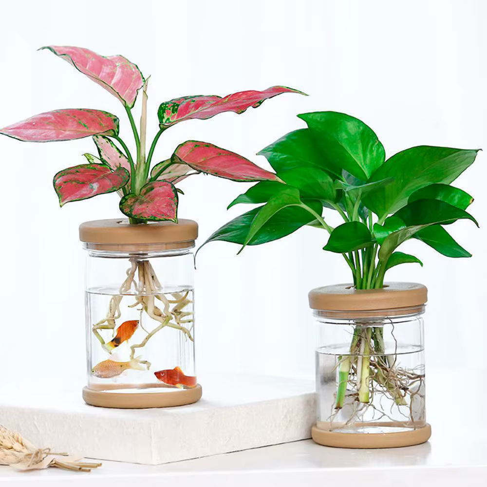 Vase hydroponique en plastique transparent pour la décoration de la maison