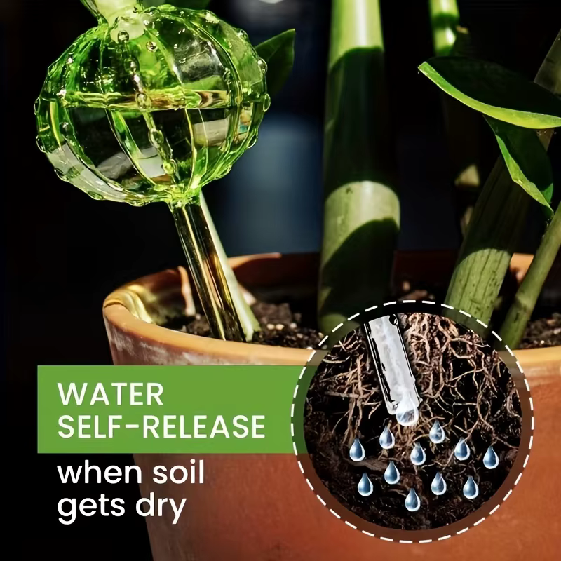 Ampoules d'arrosage automatique en forme de cactus