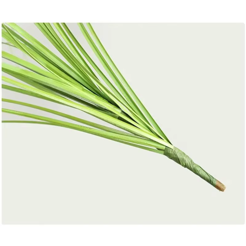 Simulation d'herbe à oignon