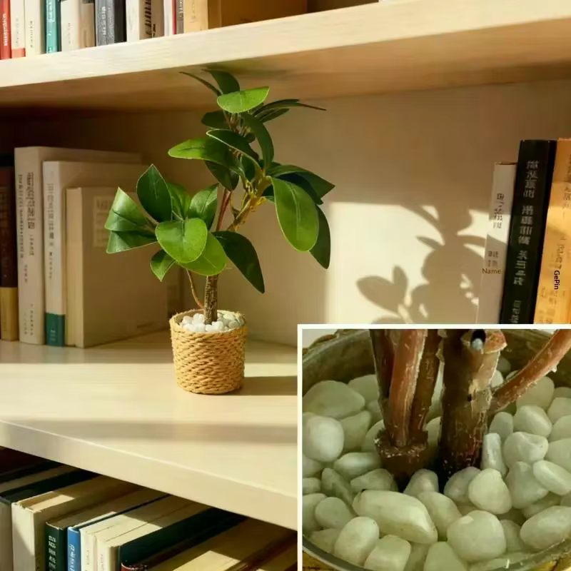 Modèle de plante en pot pour maison de poupée Miniature