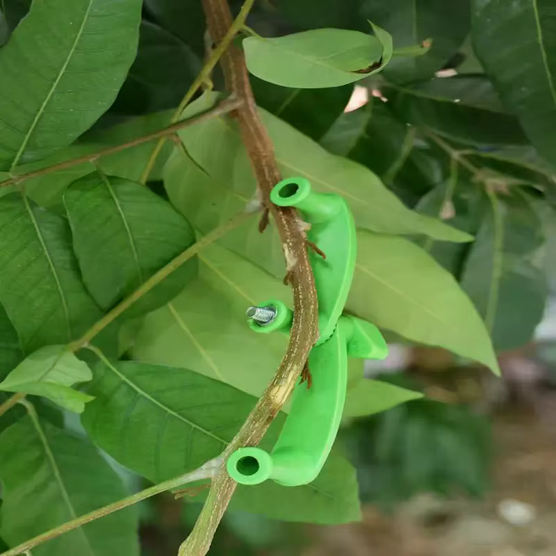 Clips de cintreuse de branches de plantes réglables