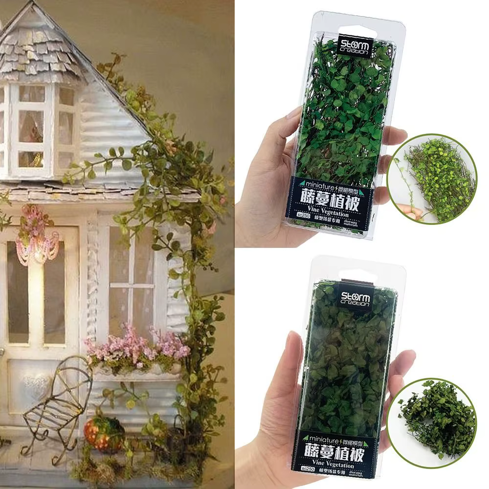 Boîte de plantes miniatures de type Creepers