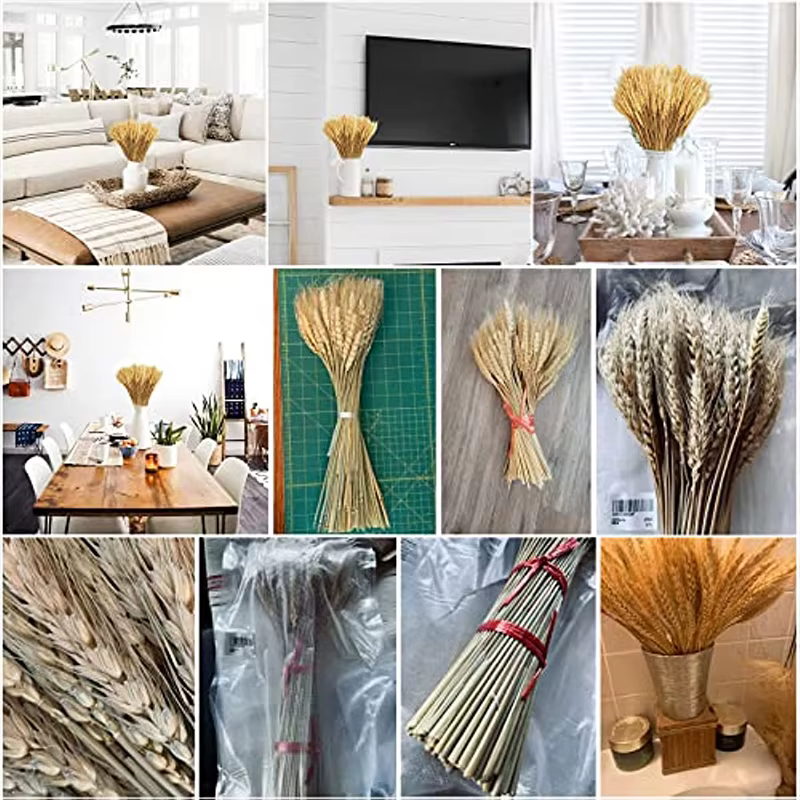 Sunks de blé séché pour la décoration de la maison