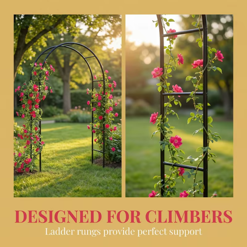 Support renforcé pour plantes grimpantes d'extérieur (roses et glycines) – 1 ou 2 supports individuels pour décoration
