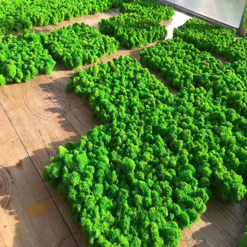 Plante Verte Artificielle de Qualité