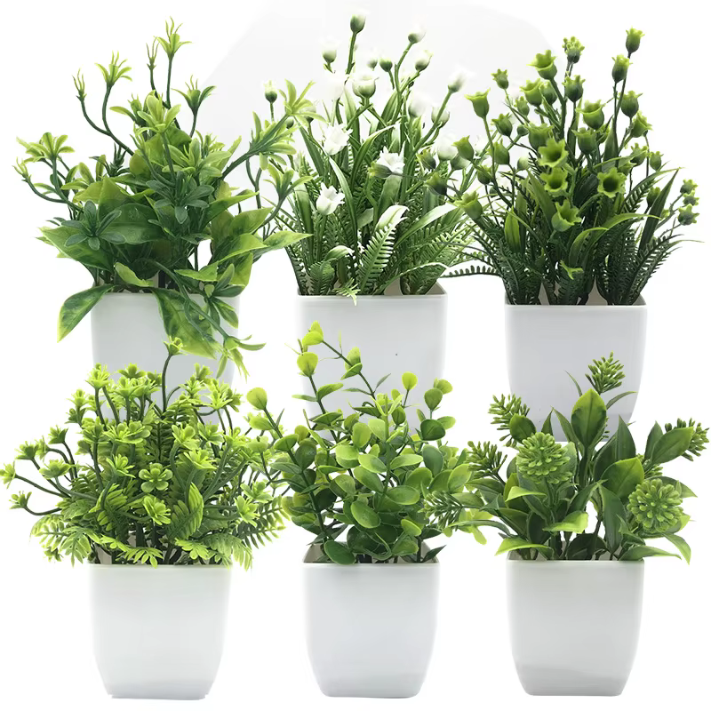 Simulation de plante verte