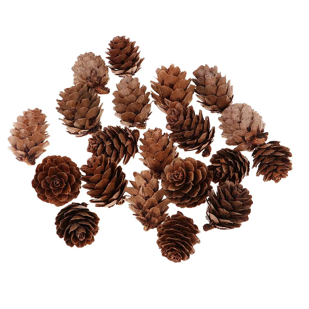 Pommes de pin décoratives naturelles