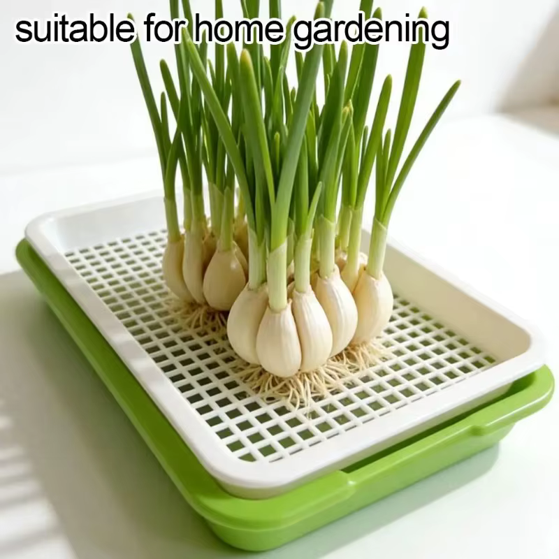 Bac de germination pour semis sans terre
