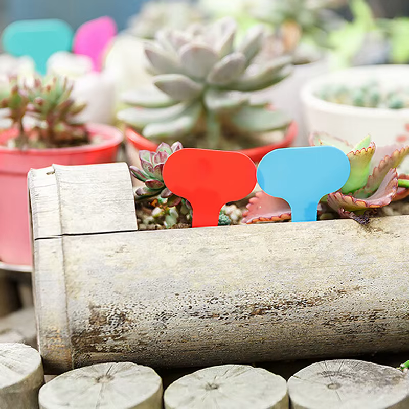 Plaque d'écriture en plastique pour plantes de jardin