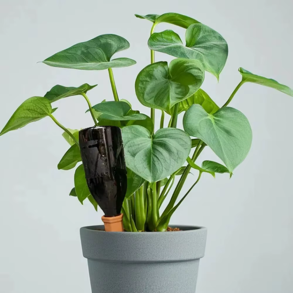 Kit d'arrosage pour plantes en pot