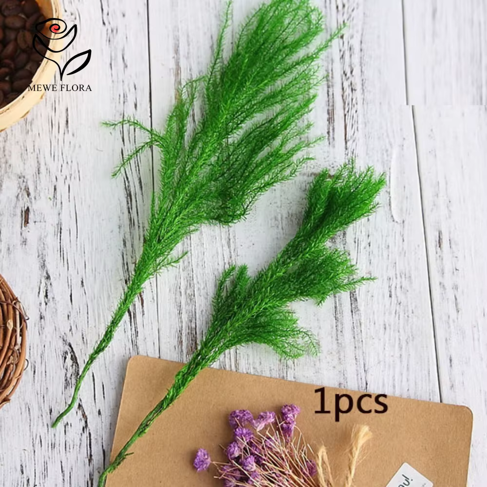 Lycopodium naturel séché pour la décoration de Noël