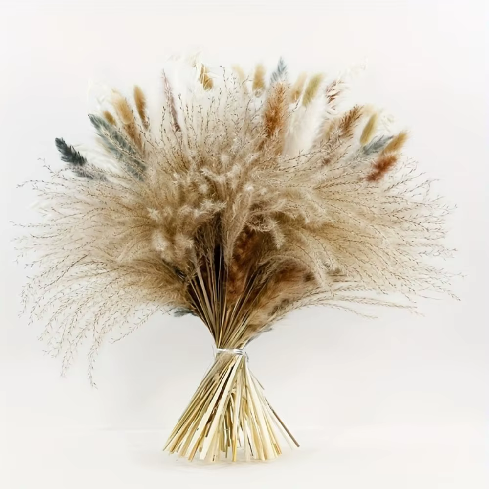 100 Pièces de Fleurs Séchées Naturelles de Pampas Moelleuses