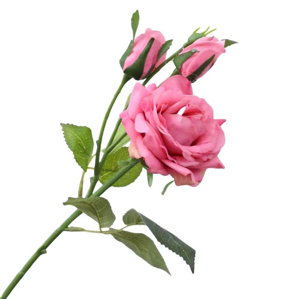 Aloès vert 3 pièces toucher réel 1 fleur 2 bourgeons branche de Rose fleurs artificielles Simulation Roses rouges fausse plante décoration de chambre