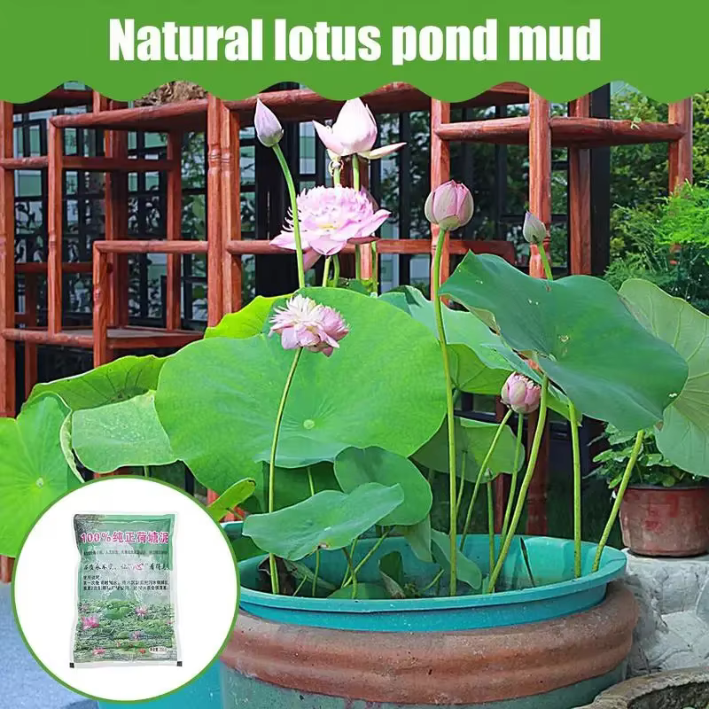 200g naturel Lotus étang boue jardin furtile aquatique bonsaï fleur sol nutritif pour bol spécial