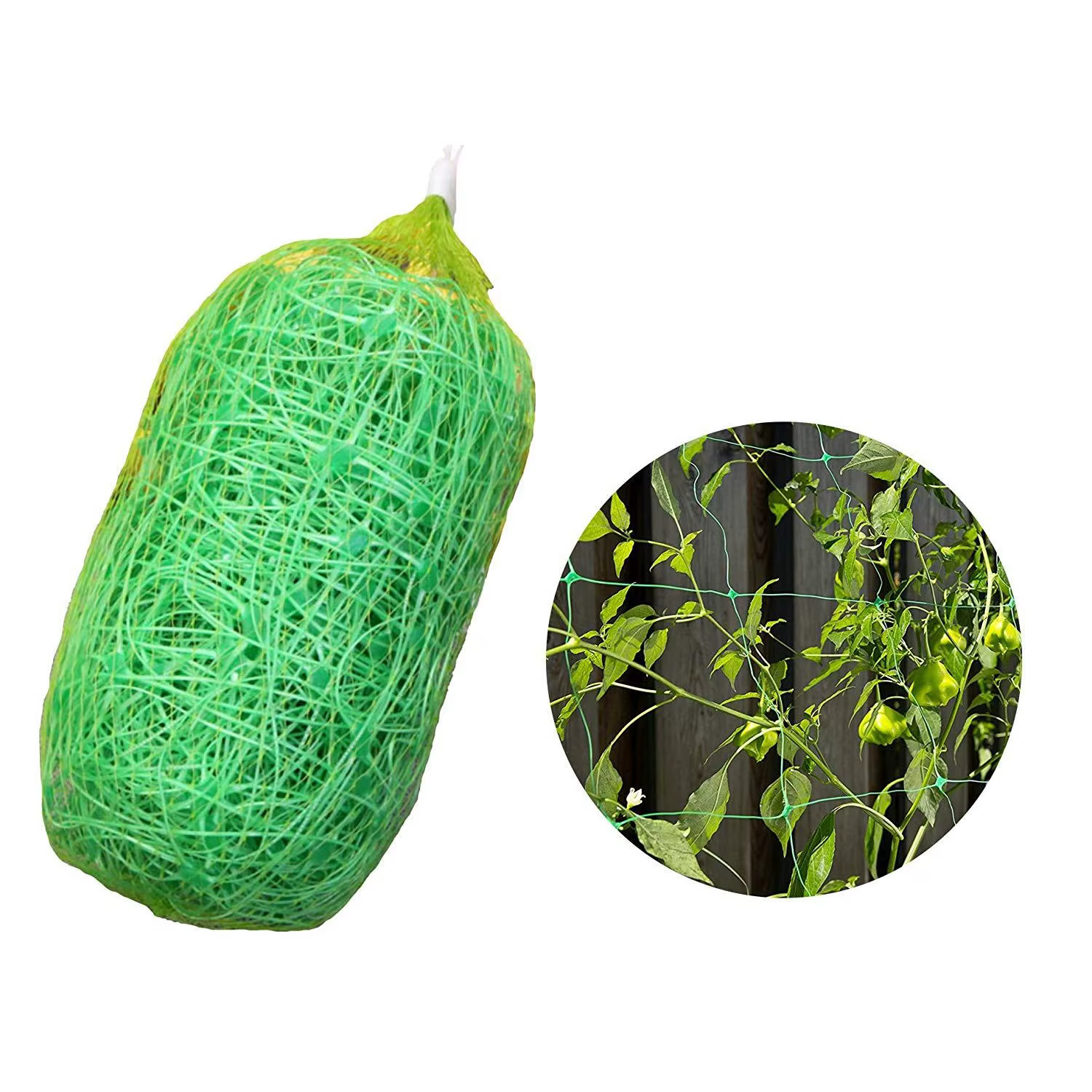 Plantes de jardin Filet d'escalade