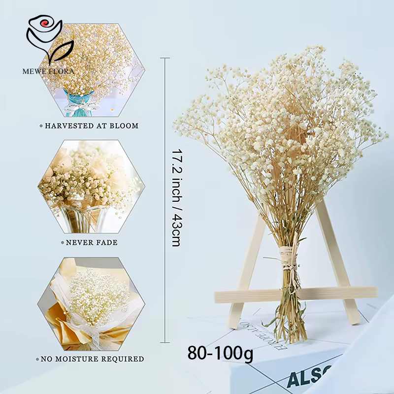 Vraies fleurs séchées gypsophile bébé souffle Bouquet