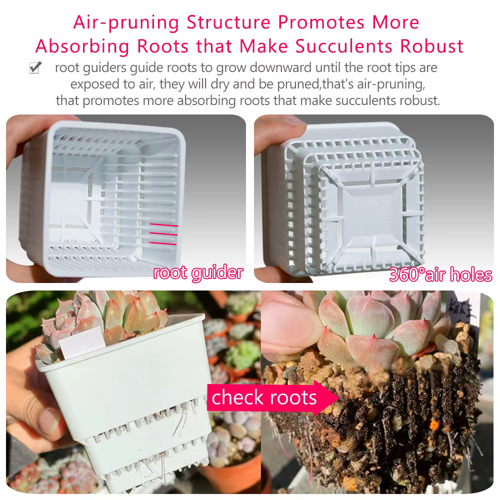 Meshpot-Pot carré pour plantes succulentes avec trous d'air