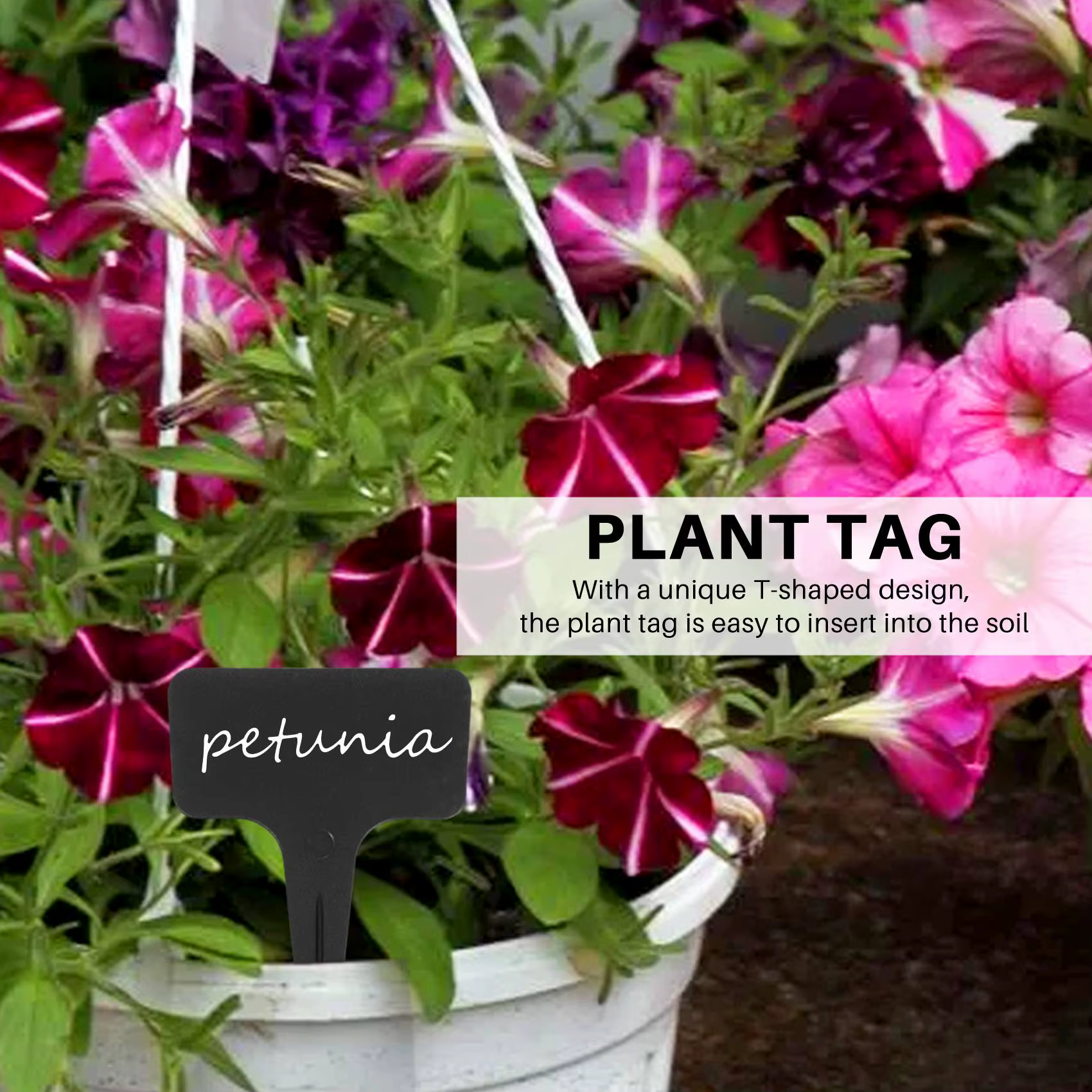 Marqueurs réutilisables pour plantes, 101 pièces/ensemble