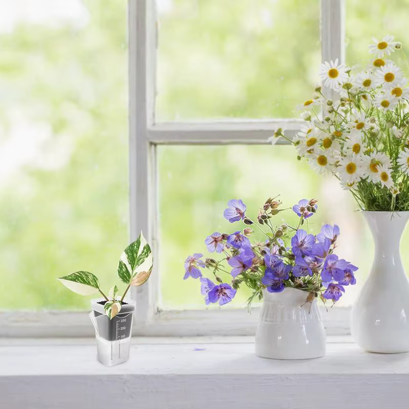 5 pots de plantes auto-arrosants