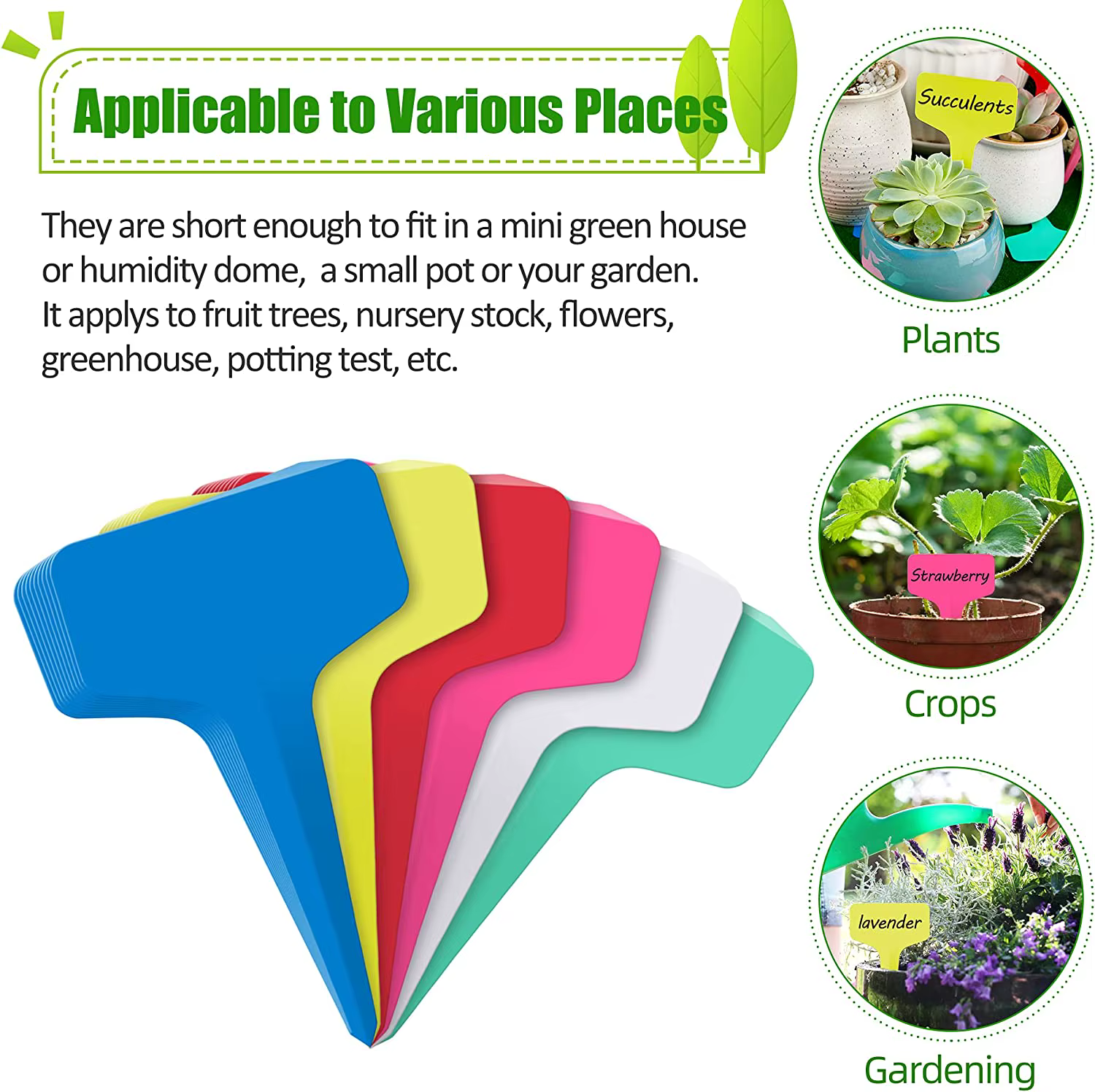 Étiquettes de plantes en plastique