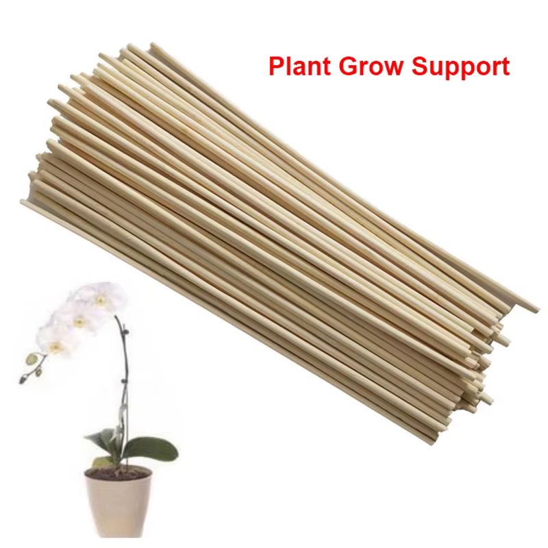 Lot de 50 bâtons de support en bambou pour plantes, pour fleurs et canes