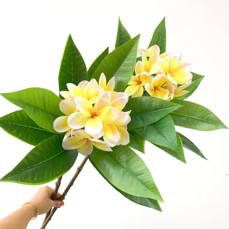 Impression 3D Main Sensation Frangipanier Fleurs Branche