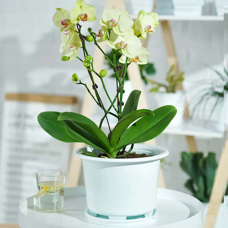 Meshpot-Pot de fleur en plastique à double couche avec trous d'air