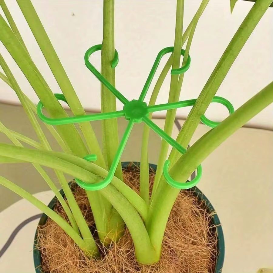 Cadre de Support Anti-vol pour plantes 4 pièces