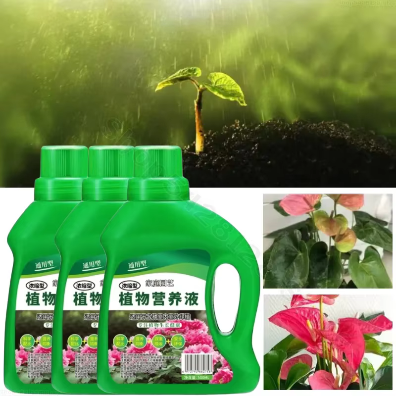 Solution hydroponique pour plantes nutritives