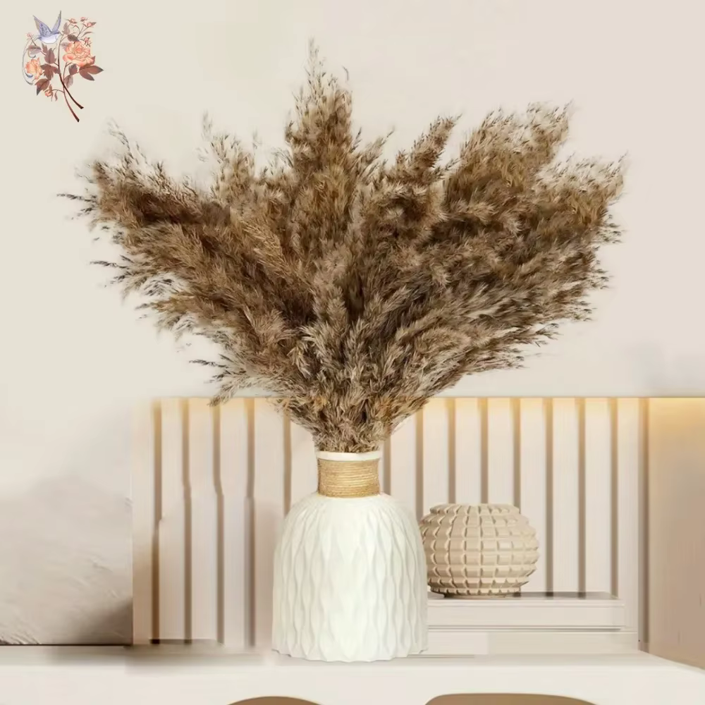 Bouquet d'herbe de la pampa séchée naturelle pour décoration bohème