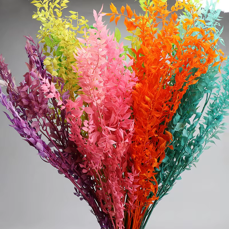 Fleurs séchées naturelles pour la décoration de la maison et du jardin