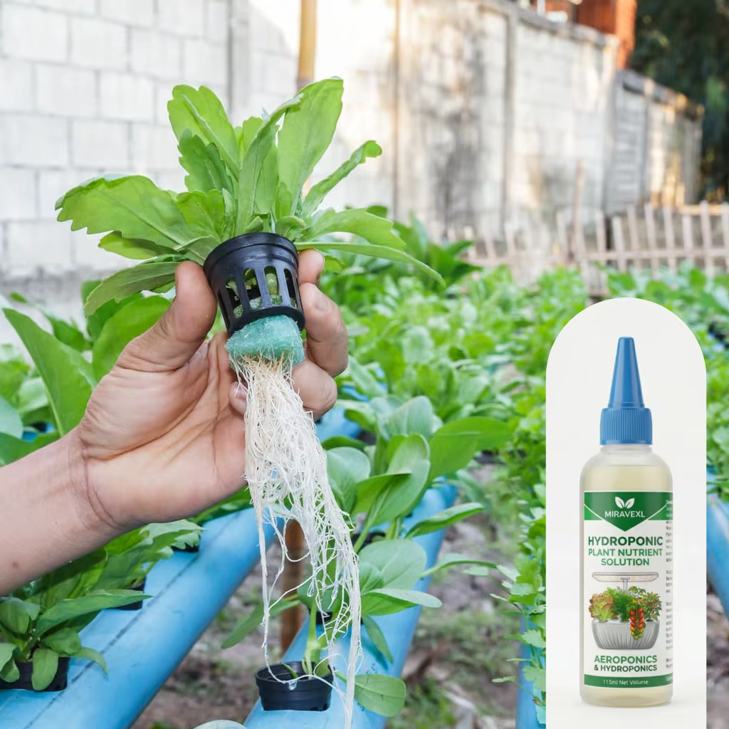 Engrais liquide polyvalent pour plantes
