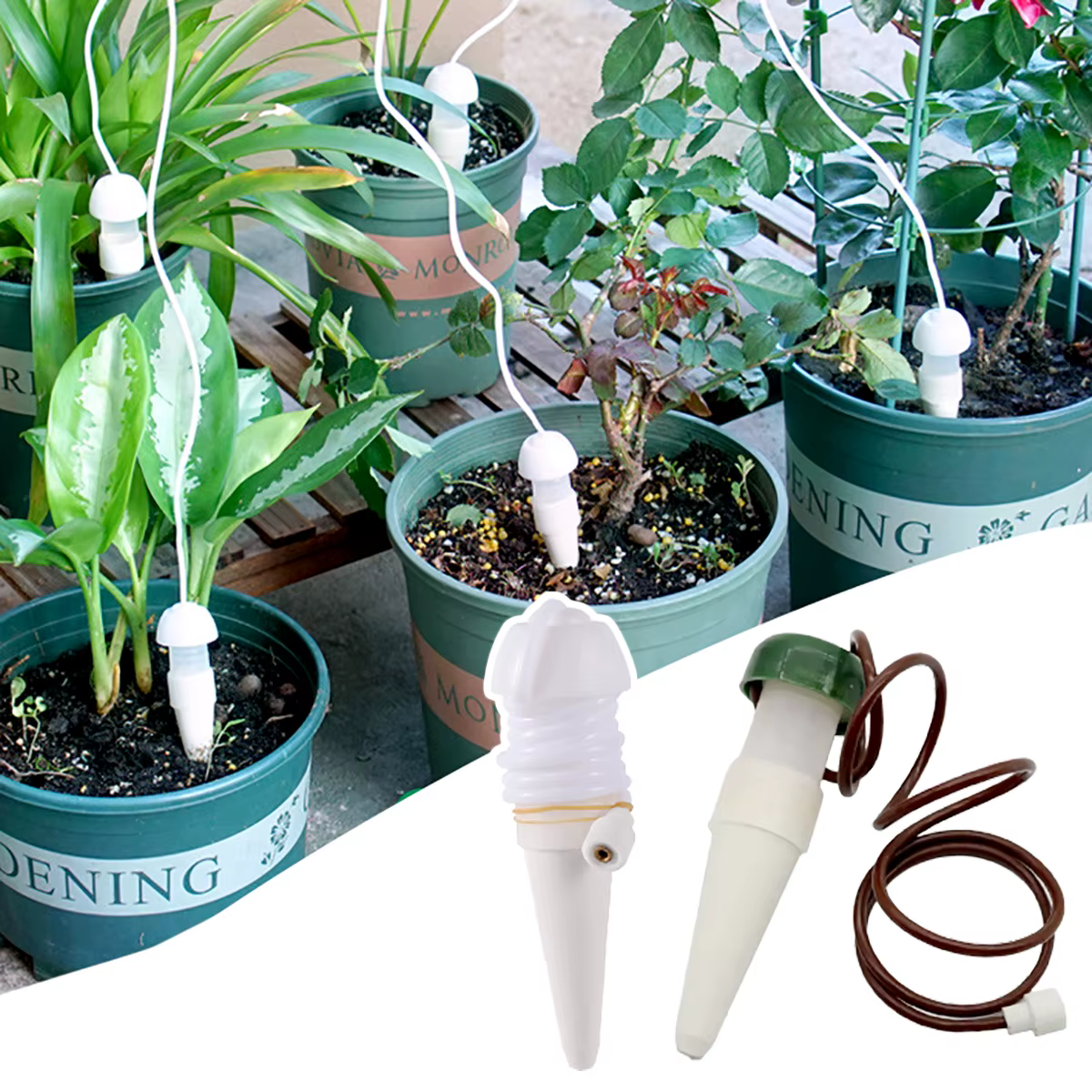 Plantes arrosoir auto-arrosage goutte-à-goutte automatique racine goutteur d'eau jardin fleur succulente bonsaï en pot dispositif d'arrosage