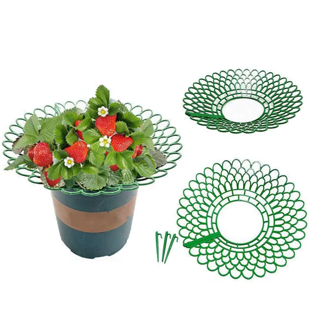 Supports de plantes de fraises à 3 pieds robustes
