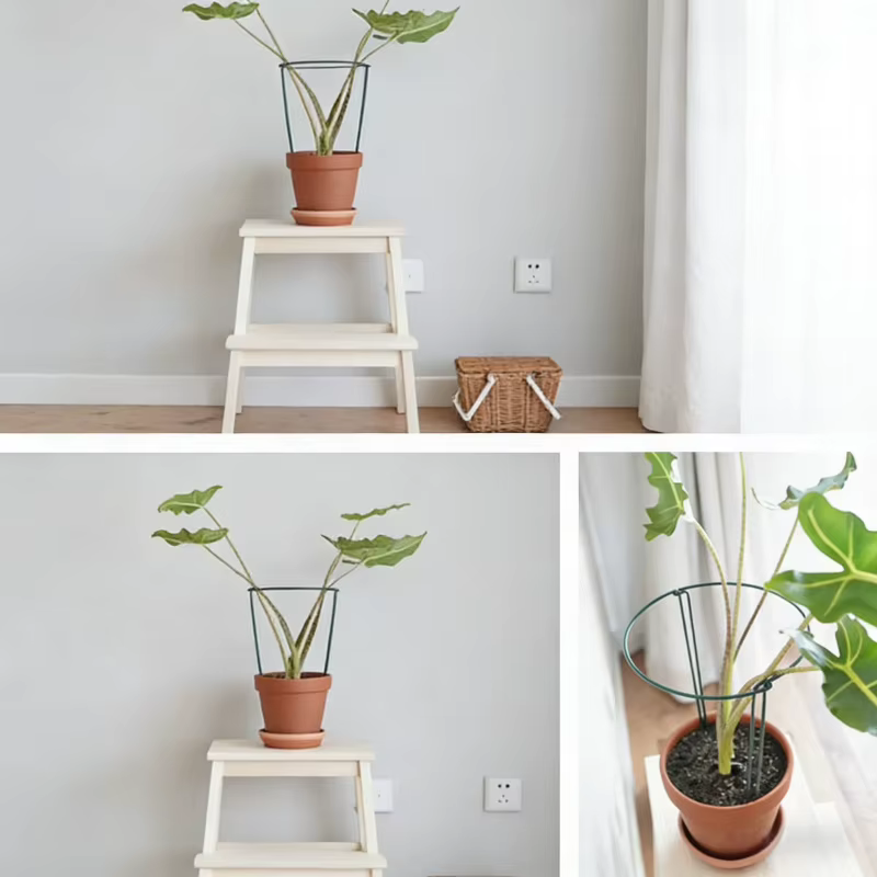 Support de treillis métallique semi-circulaire 35 cm (6-12 pièces) pour plantes d'intérieur