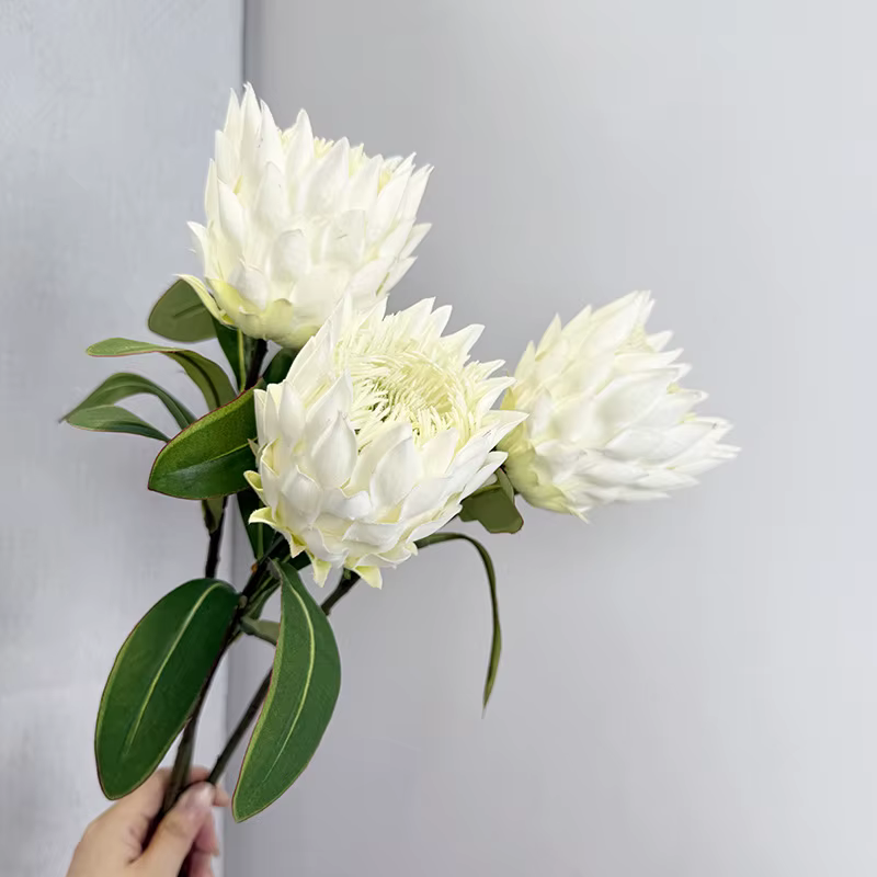 Fleur Bodhi sud-africaine floquée