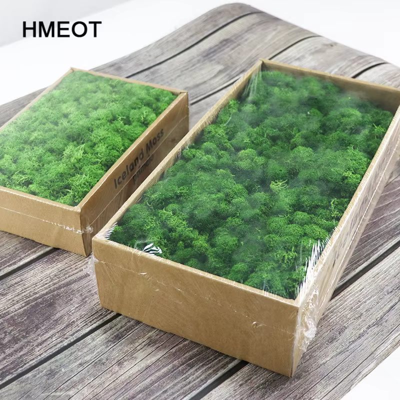 Nouveau 1000g plantes artificielles vie éternelle mousse/jardin décor à la maison mur bricolage fleur matériel Mini jardin Micro paysage faux mousse