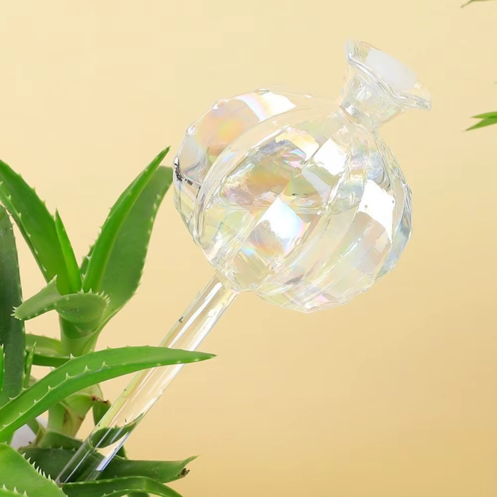 Cactus Cactus – Bulbes d'arrosage automatiques en verre pour plantes