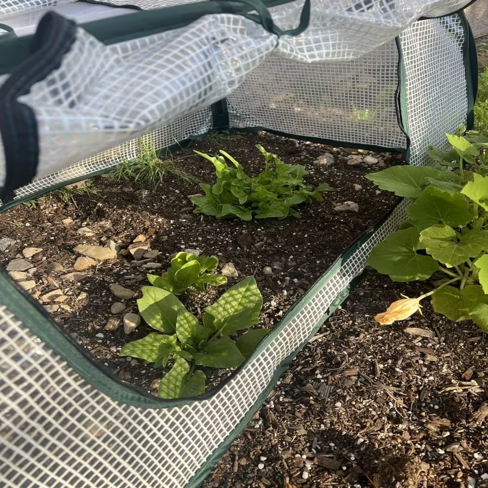 Couverture de protection pour plantes en maille PVC transparente