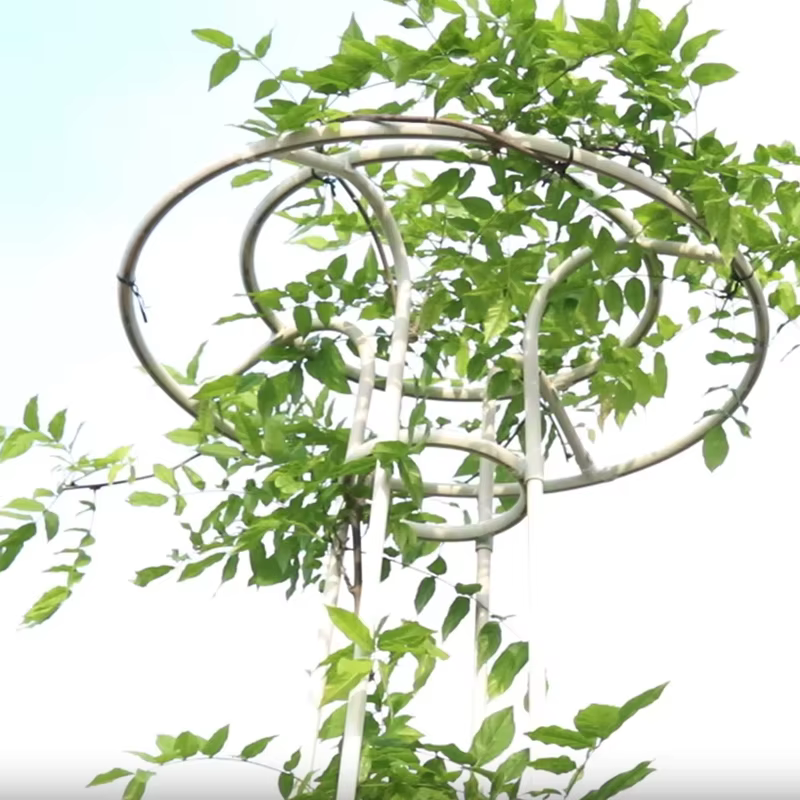 Support de plantes grimpantes en treillis de fleurs de Style parapluie